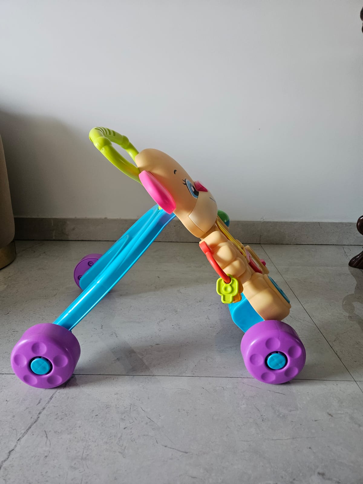 Fisher Price Puppy Walker | Ideal for 6 Months - 3 Years