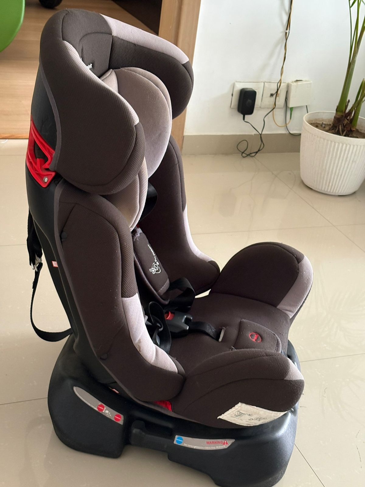 R for Rabbit Car Seat