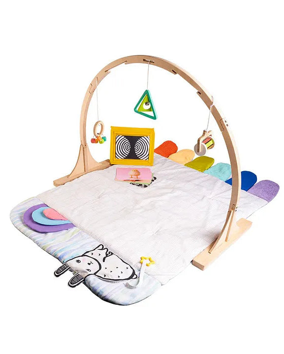 Curious Cub  Play Gym