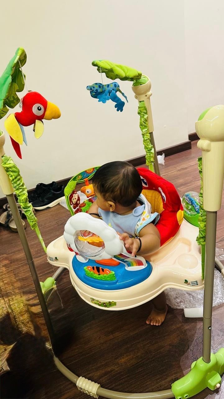Rainforest Jumperoo