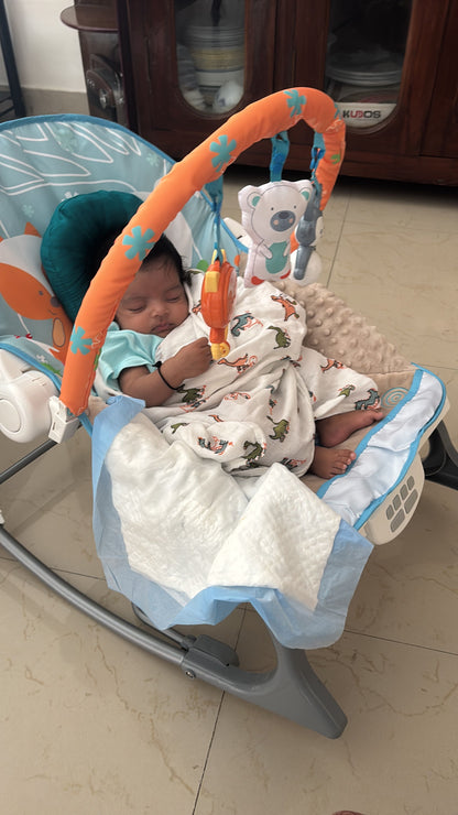 Infantso Baby Rocker & Bouncer
