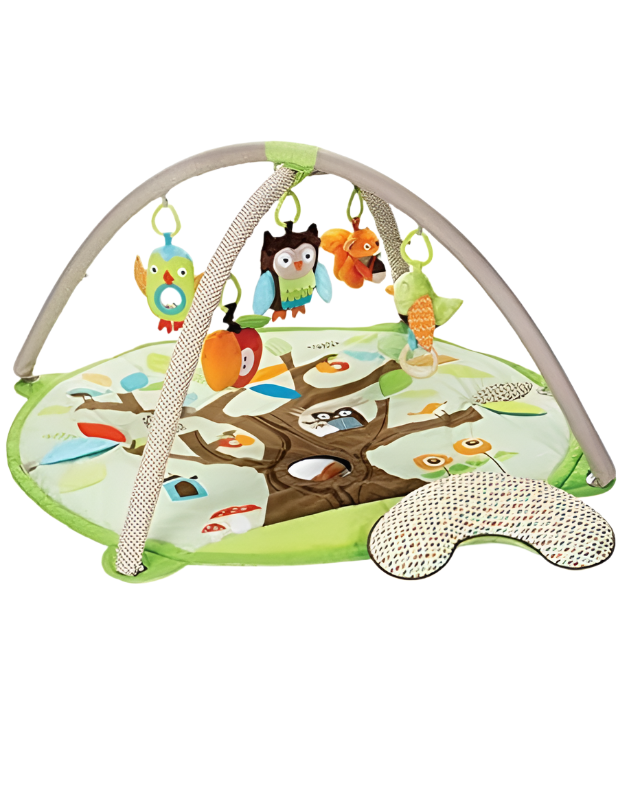 Skip Hop Treetop Friends Activity Gym, Multi Color