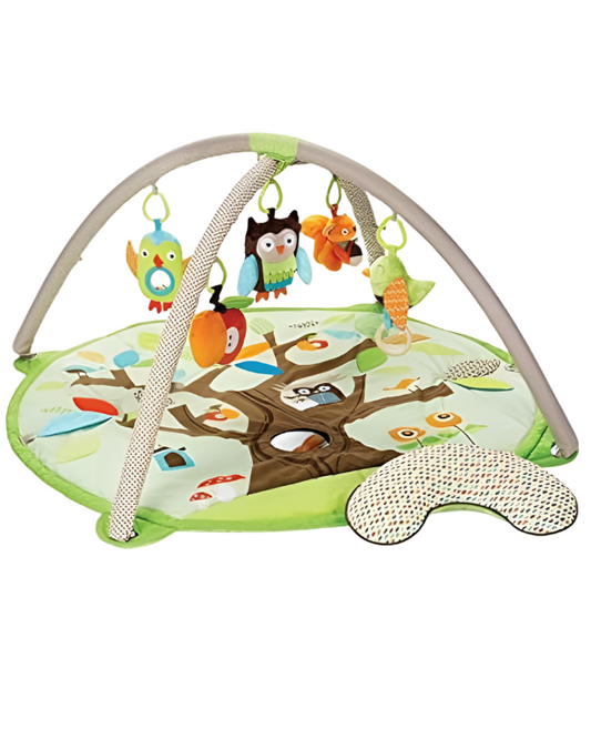 Skip Hop Treetop Friends Activity Gym, Multi Color