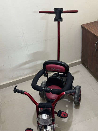 Dash Star Harley Tricycle