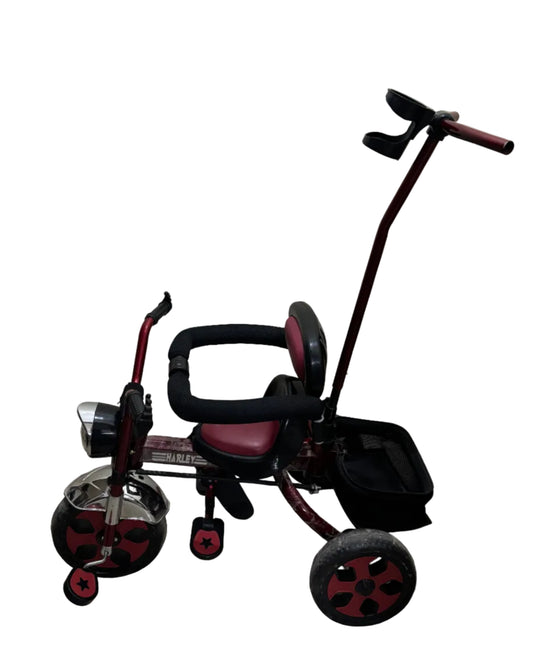 Dash Star Harley Tricycle