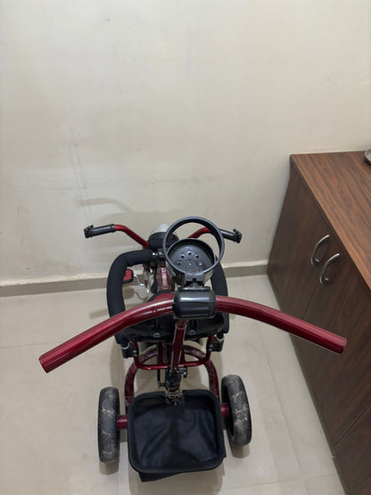 Dash Star Harley Tricycle