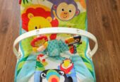 Fisher Price Newborn to Toddler Rocker