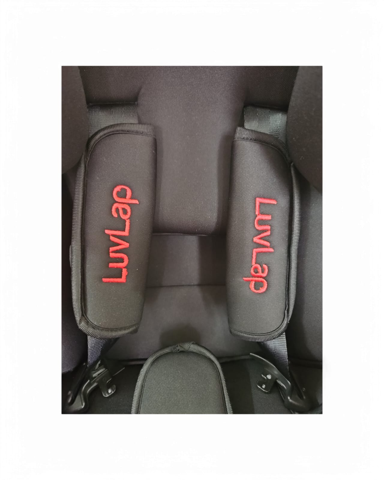 LuvLap Sports Convertible Car Seat