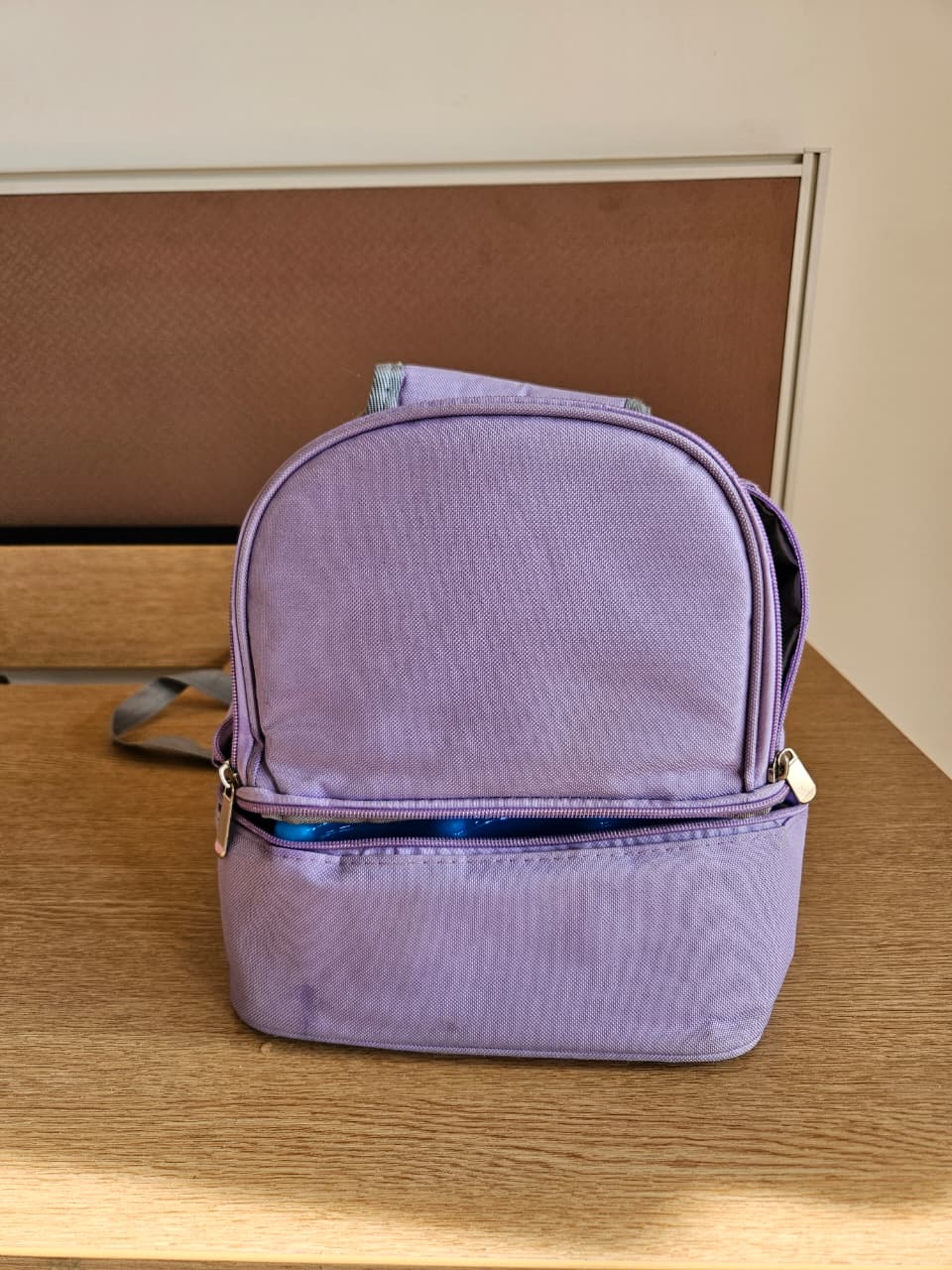 Breastmilk Storage Bag with Ice Packs ( 2 Nos)