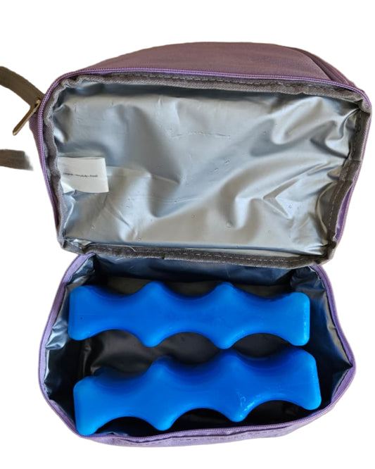 Breastmilk Storage Bag with Ice Packs ( 2 Nos)