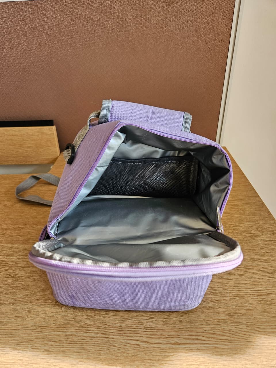 Breastmilk Storage Bag with Ice Packs ( 2 Nos)