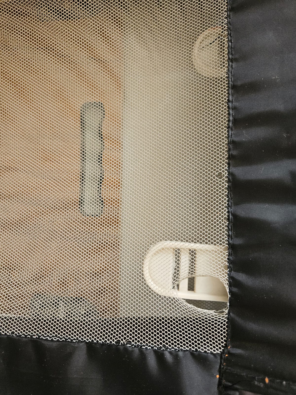Bedrails for Kids safety | Pair of 2, 6.5x6