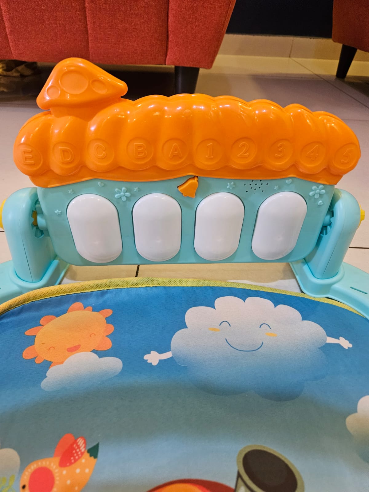 Baby Play Gym | Multicolor