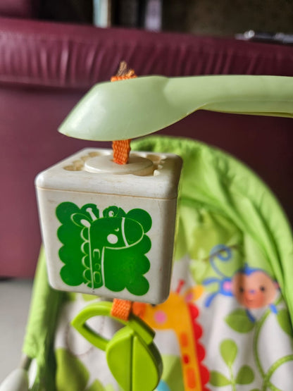 Newborn to Toddler Portable Rocker Rocker