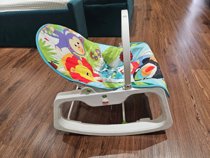 Fisher Price Newborn to Toddler Rocker