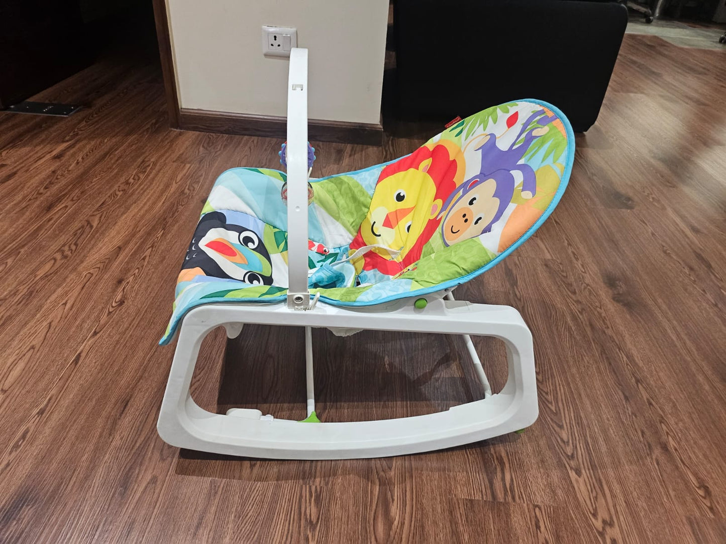Fisher Price Newborn to Toddler Rocker