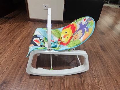 Fisher Price Newborn to Toddler Rocker