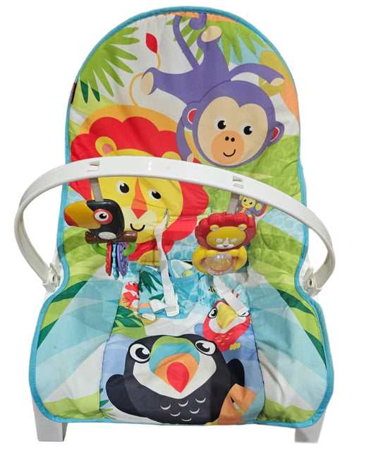 Fisher Price Newborn to Toddler Rocker