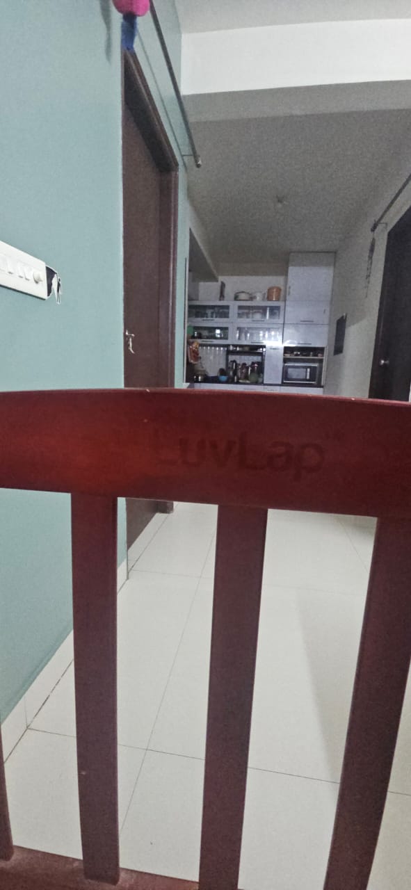 Babyhug C-50 Baby Cot With Mattress