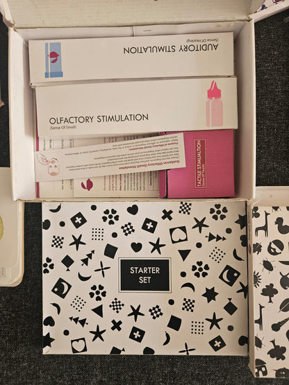 Hungry Brain Early Brain Stimulation Program