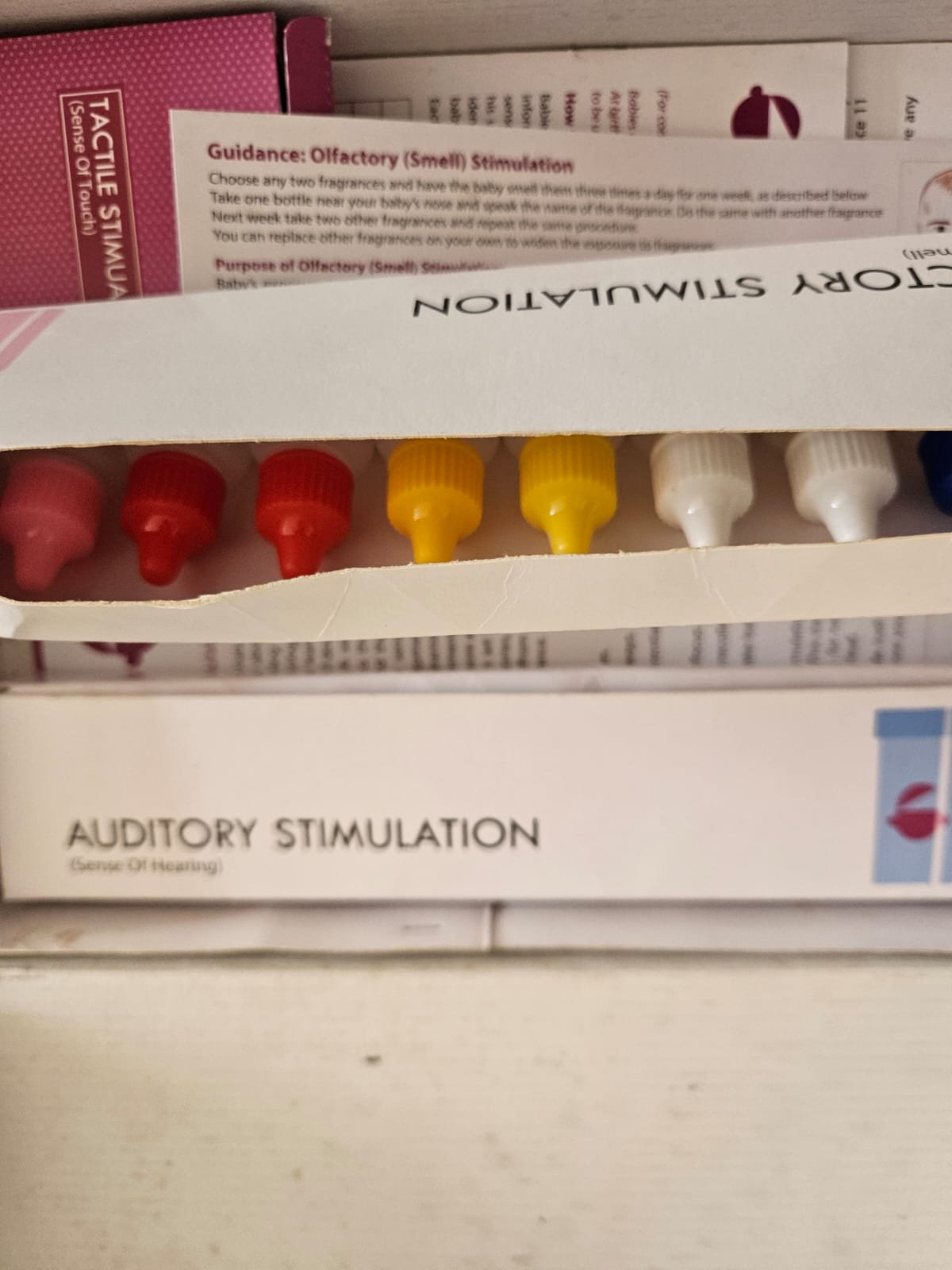 Hungry Brain Early Brain Stimulation Program