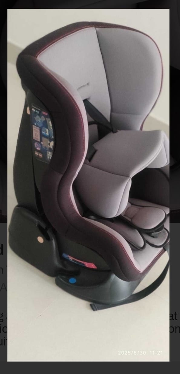 Luvlap Sports Convertible Car Seat