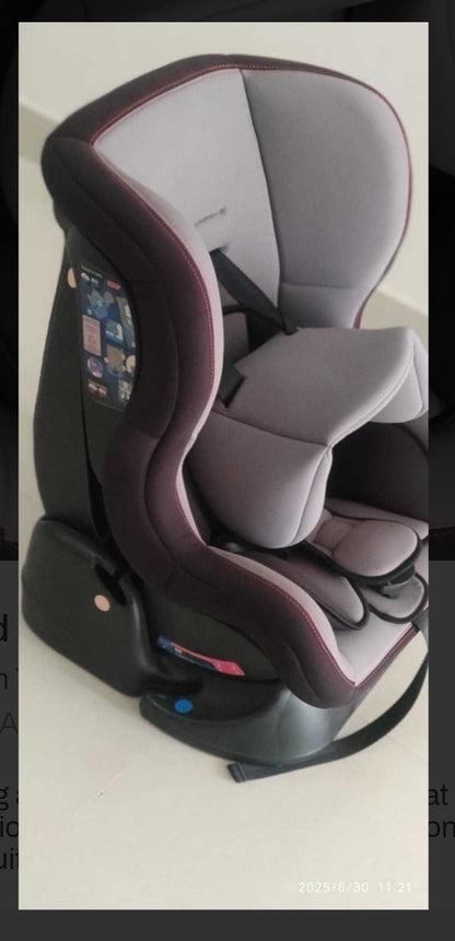 Luvlap Sports Convertible Car Seat