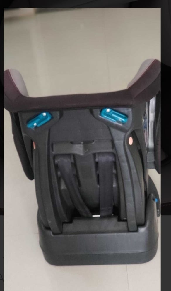 Luvlap Sports Convertible Car Seat