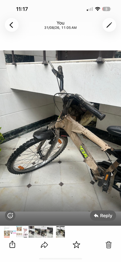 Hercules Bicycle