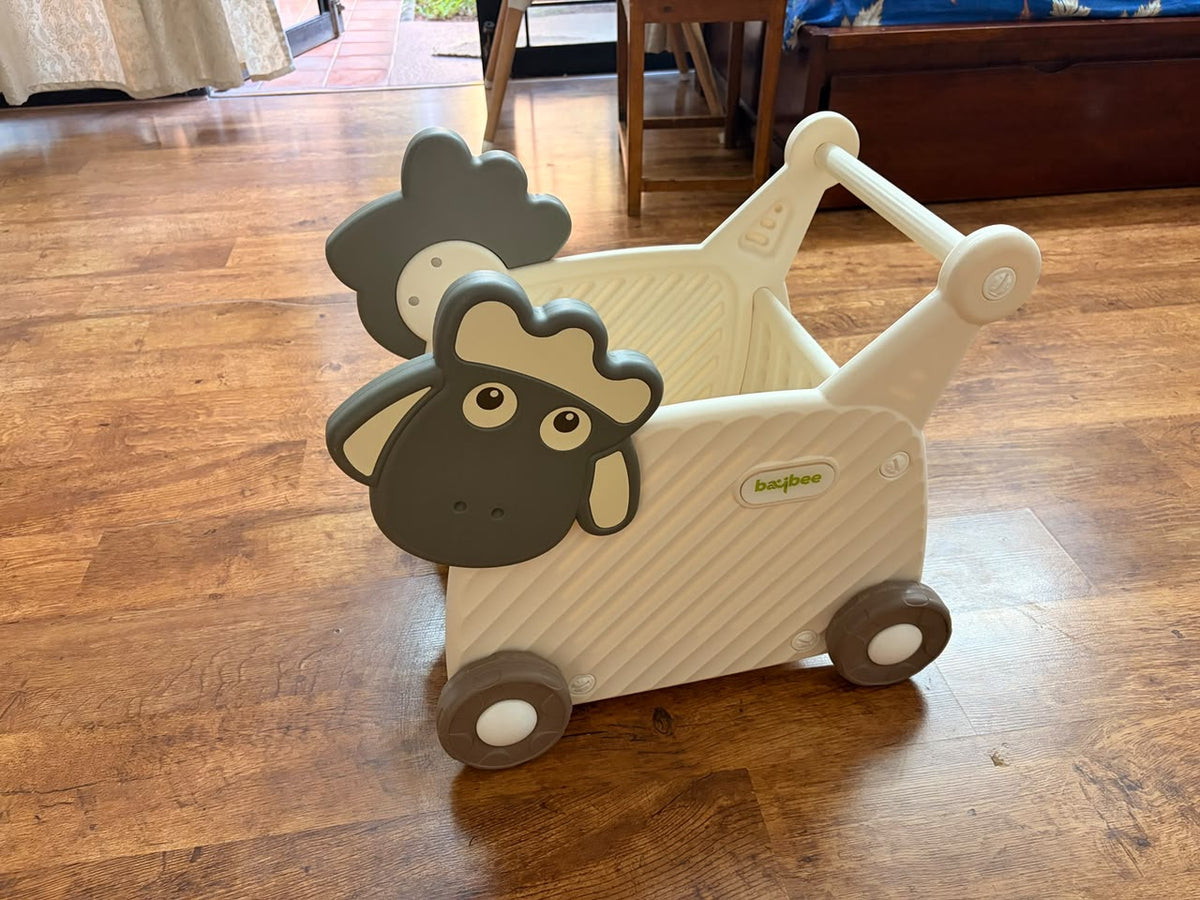 Baby Push Walker & Activity Cart