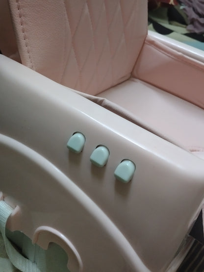 Babyhug Booster Chair with Cushion
