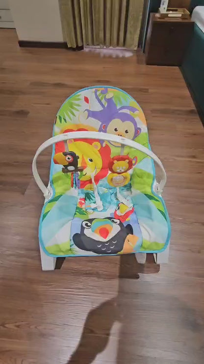 Fisher Price Newborn to Toddler Rocker
