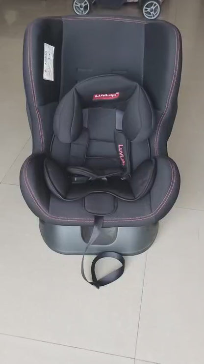 LuvLap Sports Convertible Car Seat, 2024, Barely Used