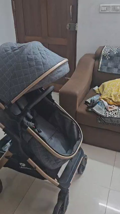 StarAndDaisy Easy Go Baby Stroller