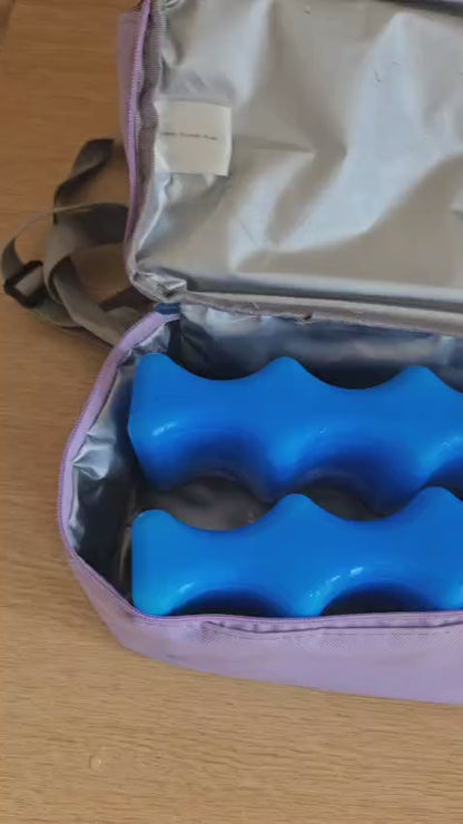 Breastmilk Storage Bag with Ice Packs ( 2 Nos)