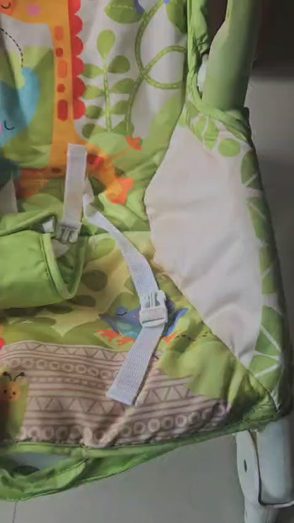 Newborn to Toddler Portable Rocker Rocker