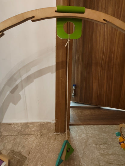 Curious Cub  Play Gym