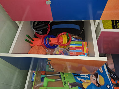 Custom Made Kids Wardrobe  ( Century ply wood Sainik 710 )